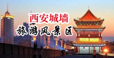 嗯啊骚逼舔中国陕西-西安城墙旅游风景区